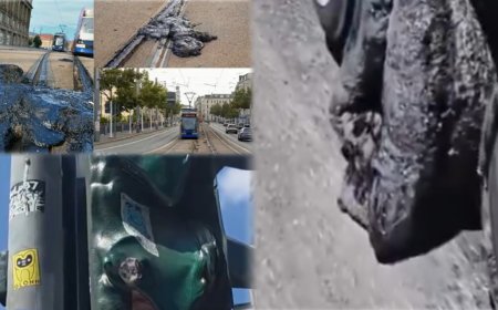  भीषण गर्मी की चपेट में यूरोप: हीटवेव से 1300 मौतों का दावा, क्यों इतने बिगड़ रहे हालात, कब मिल सकती है राहत