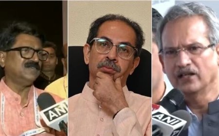 स्पीकर से मुलाकात के बाद बोला उद्धव गुट, 'बागी सांसदों का कोई पत्र नहीं आया'