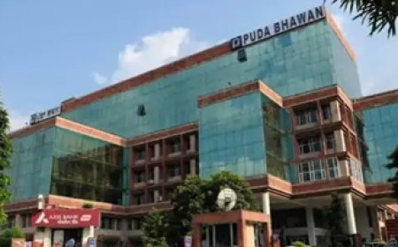 Punjab News: गमाडा का बकाया न चुकाने वाले बिल्डरों पर एक्शन