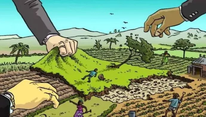भू-माफिया से मुक्त हुई 158 हेक्टेयर जमीन पर बनेंगे वन