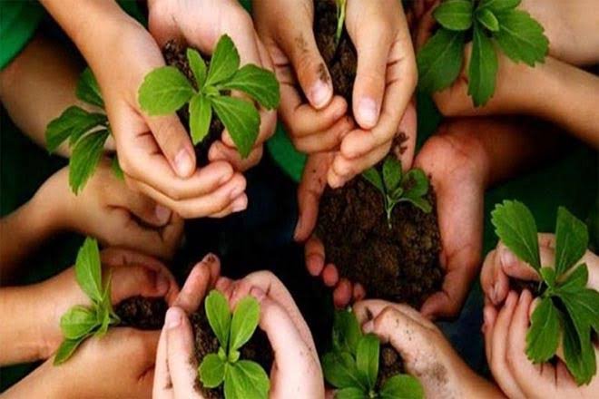 हरियाली का महाकुंभ कल: मेरठ में लगेंगे 30.83 लाख पौधे