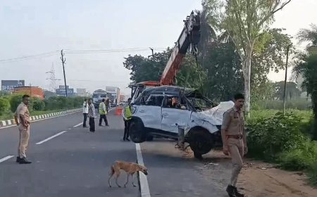 Meerut Accident News: मेरठ में फ्लाईओवर से 60 फीट नीचे गिरी कार, 3 की मौत, एक की हालत गंभीर