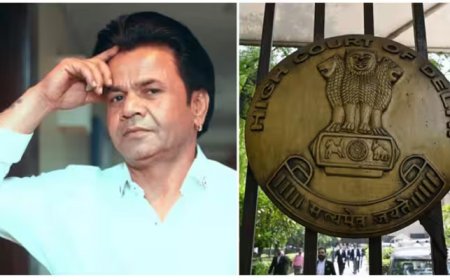 एक्टर राजपाल यादव जाएंगे जेल, दिल्ली हाईकोर्ट ने सुनाई सजा; जानिए क्या हैं पूरा मामला 