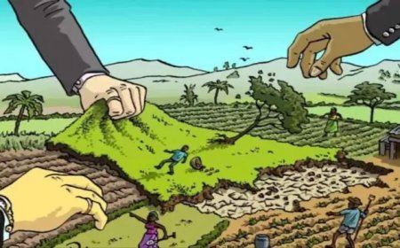 भू-माफिया से मुक्त हुई 158 हेक्टेयर जमीन पर बनेंगे वन